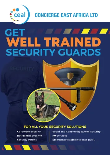 flyer for security services